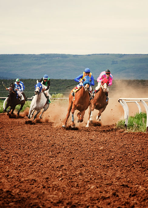 Amplify Stables