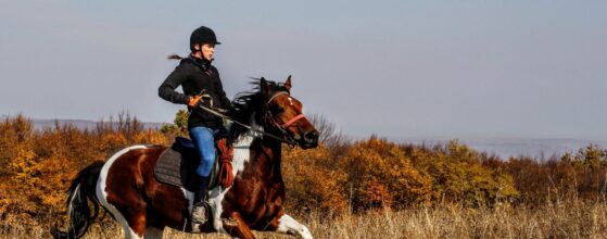 Benefits of Horseback Riding