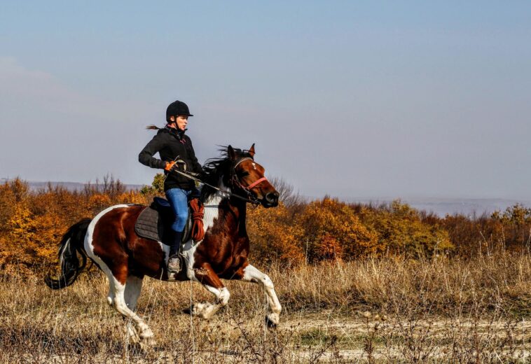Benefits of Horseback Riding