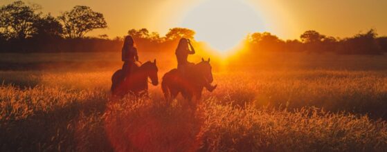 Benefits of Riding Different Horses